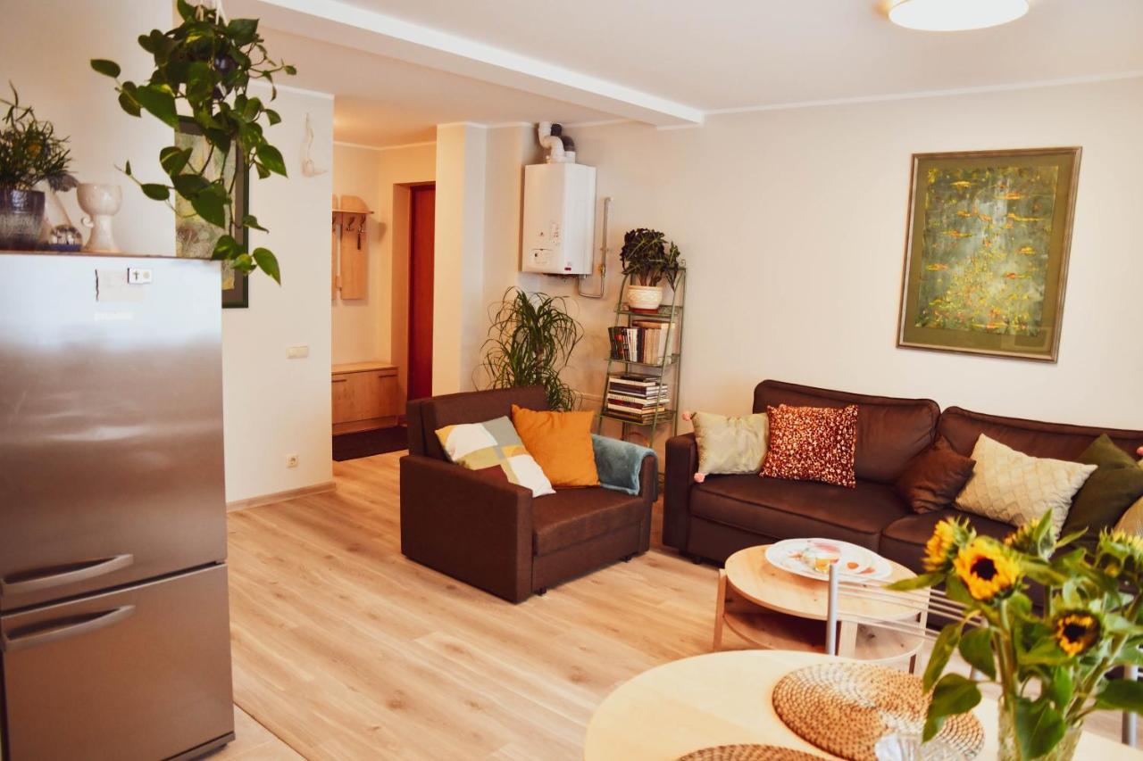 Central Park Apartment Birštonas エクステリア 写真
