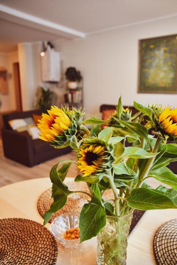 Central Park Apartment Birštonas エクステリア 写真